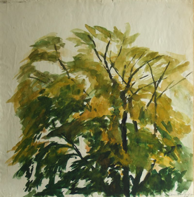 Gult træ. 1964. Akvarel.