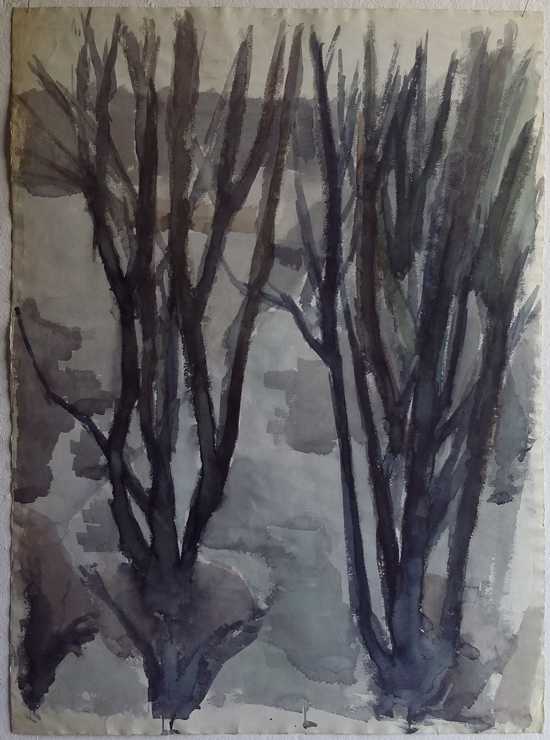 Reberbanegade, træer ved legeplas. 1959