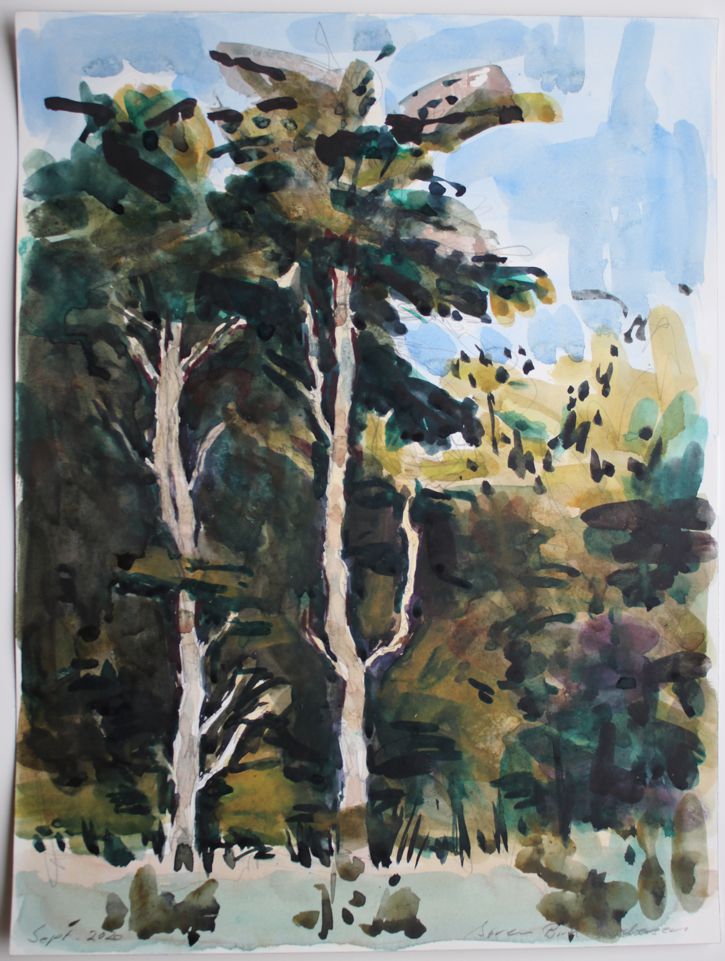 To træer, 2020.  Akvarel